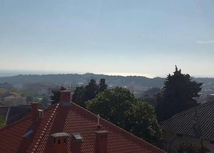 Niki * Pula